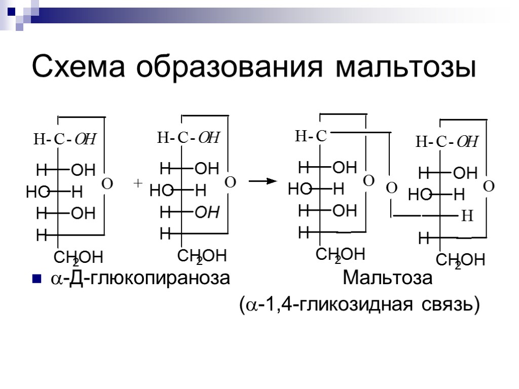 Схема образования мальтозы -Д-глюкопираноза Мальтоза (-1,4-гликозидная связь)